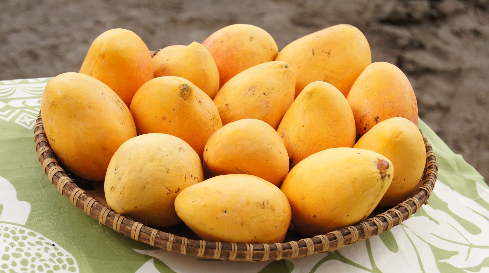 Mango